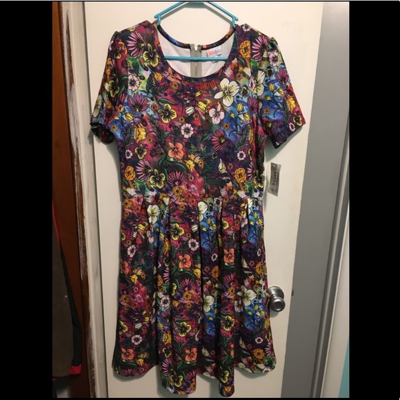 LuLaRoe Dresses & Skirts - Floral Amelia Dress